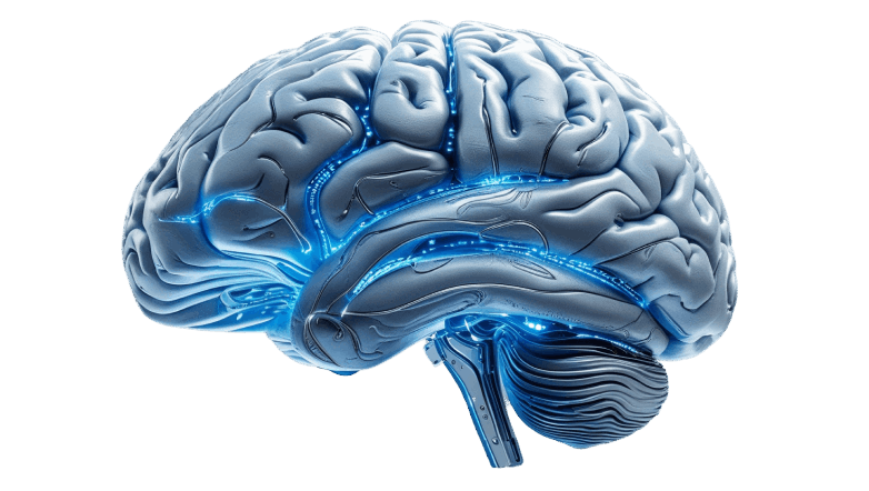 Smart Brain